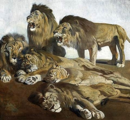 A Pride Of Lions