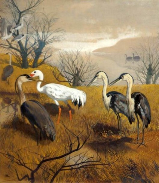 Landscape With Birds